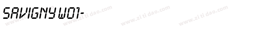 Savigny W01字体转换